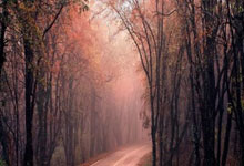 蓝鲸体育官网：全国少数民族传统体育运动会全天综合：竞赛项目收官 表演项目颁奖新华网客户端.