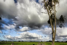 劳尔-阿森西奥：入选国家队是每个孩子的梦 在皇马每天都在学习.