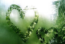 蓝鲸体育官网：与国米比赛进行途中 菲奥伦蒂那中场博韦突晕厥.